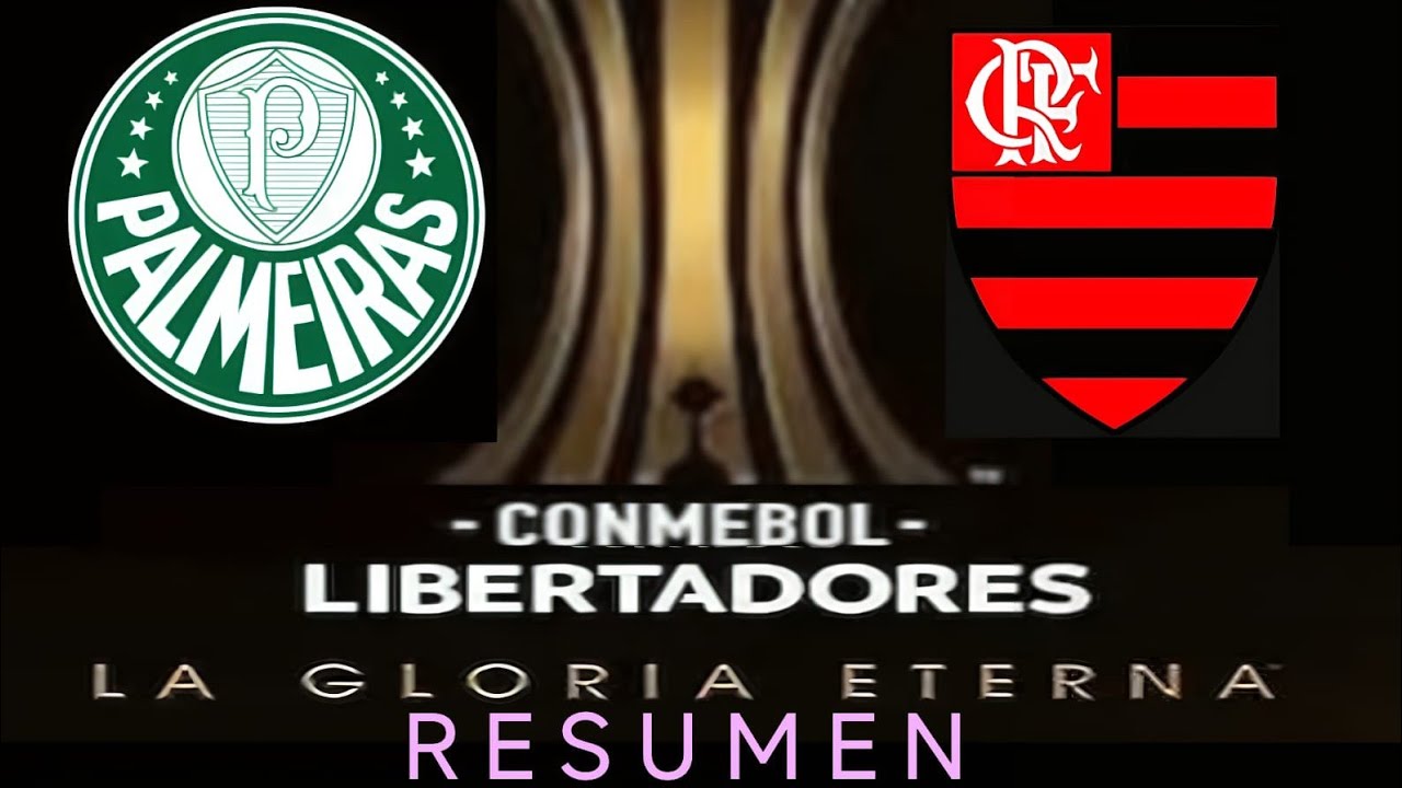 FINAL COPA LIBERTADORES 2025              PALMEIRAS     vs     FLAMENGO         final de 6 goles ⚽⚽⚽