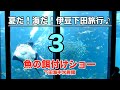 魚の餌付けショー（下田海中水族館）【夏だ！海だ！下田旅行3】