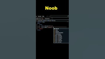 NOOB VS PRO HTML  ..