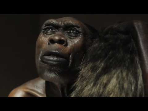 quot sapiens quot il viaggio dell uomo youtube sapiens sapiens