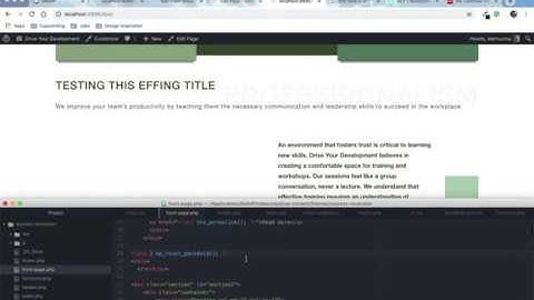 Troubleshooting ACF Text Fields