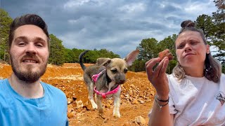 Opal The Van Life Dog | 1ST Time Mining Crystals & Going to the Vet