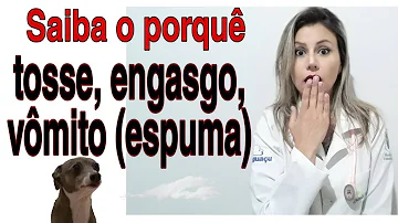 O que fazer quando o cachorro tosse e vomita?