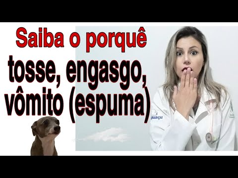 Vídeo: Por que meu cão tosse?