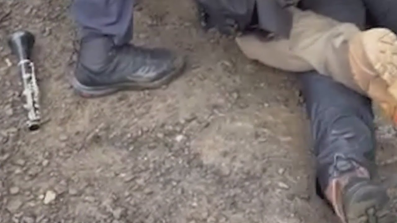 Clarinetist playing 'Ghostbusters' arrested at Portland ICE facility