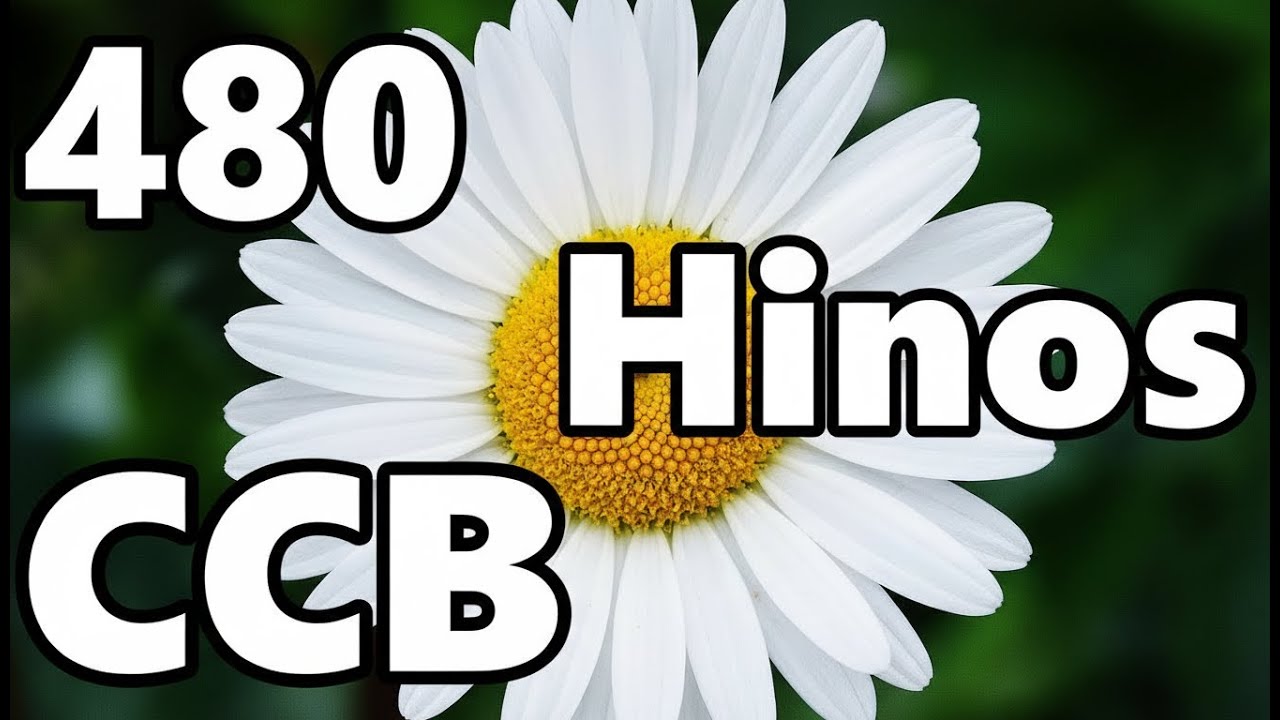 480 Hinos Cantados CCB - 55,65,75,88,101,02,03,11,275,460,275,180,307,211,115,35,68 - CCB 20/02/2026
