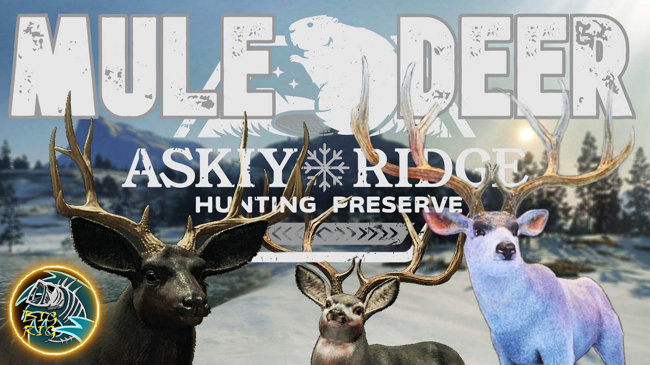 MUSIC STREAM! Let's Get This G1 Mule Deer! TheHunter: Call of the Wild