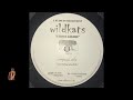 Wildkats  lyrics galore original mix
