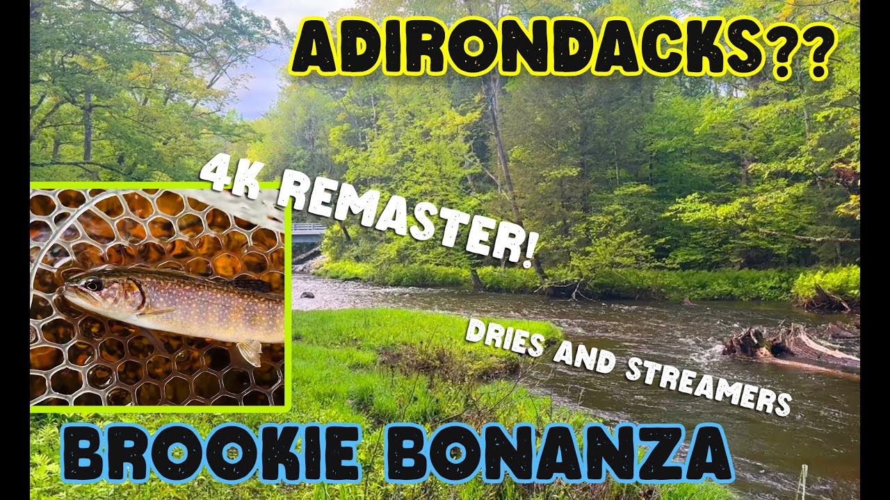Adirondack Brookies in 4K | Epic Fly Fishing with Dry Flies & Streamers! EPIC REMASTER