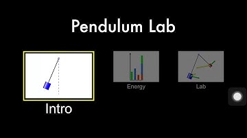 How to use the Pendulum Simulator