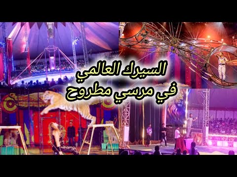 السيرك العالمي في مرسي مطروح السحر والجمال والإبداع