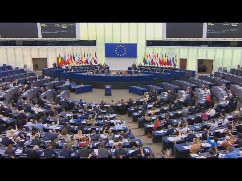 საარჩევნო წელი საქართველოსა და მსოფლიოში | მოლოდინები და პროგნოზები