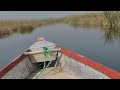 Shadegan marshland, Iran