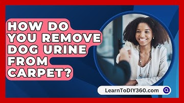 How Do You Remove Dog Urine From Carpet? - LearnToDIY360.com