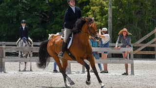 Ava Wolfe on Dolce Veda | 🏆CHAMPION in the Open Hunters | June 2025