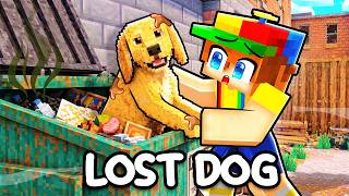 We Found a Lost Dog in a Dumpster...