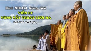 Kinh NIKAYA Giảng Giải – Viễn Ly – Vùng vẫy thoát lưới ma