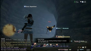 Quality Test - Final Fantasy XIV ~ Quick Battle