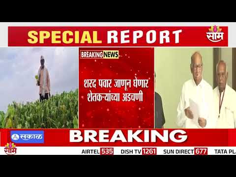 Sharad Pawar करणार दुष्काळाची पाहणी, शेतकऱ्यांच्या अडचणी जाणून घेणार