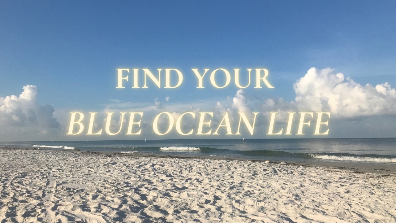 How the Ocean Heals Anxiety | Blue Mind, Purpose & Building the Blue Ocean Life