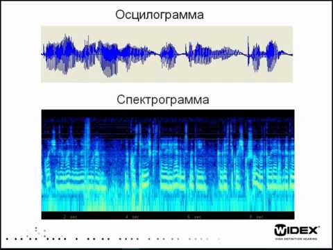 Основы акустики и психоакустики