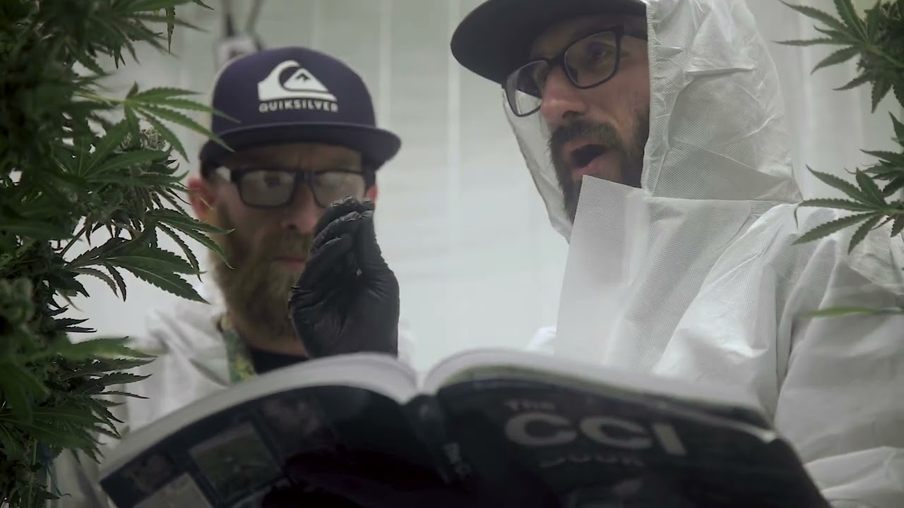 The CCI Book 2023 Launch Preview Video