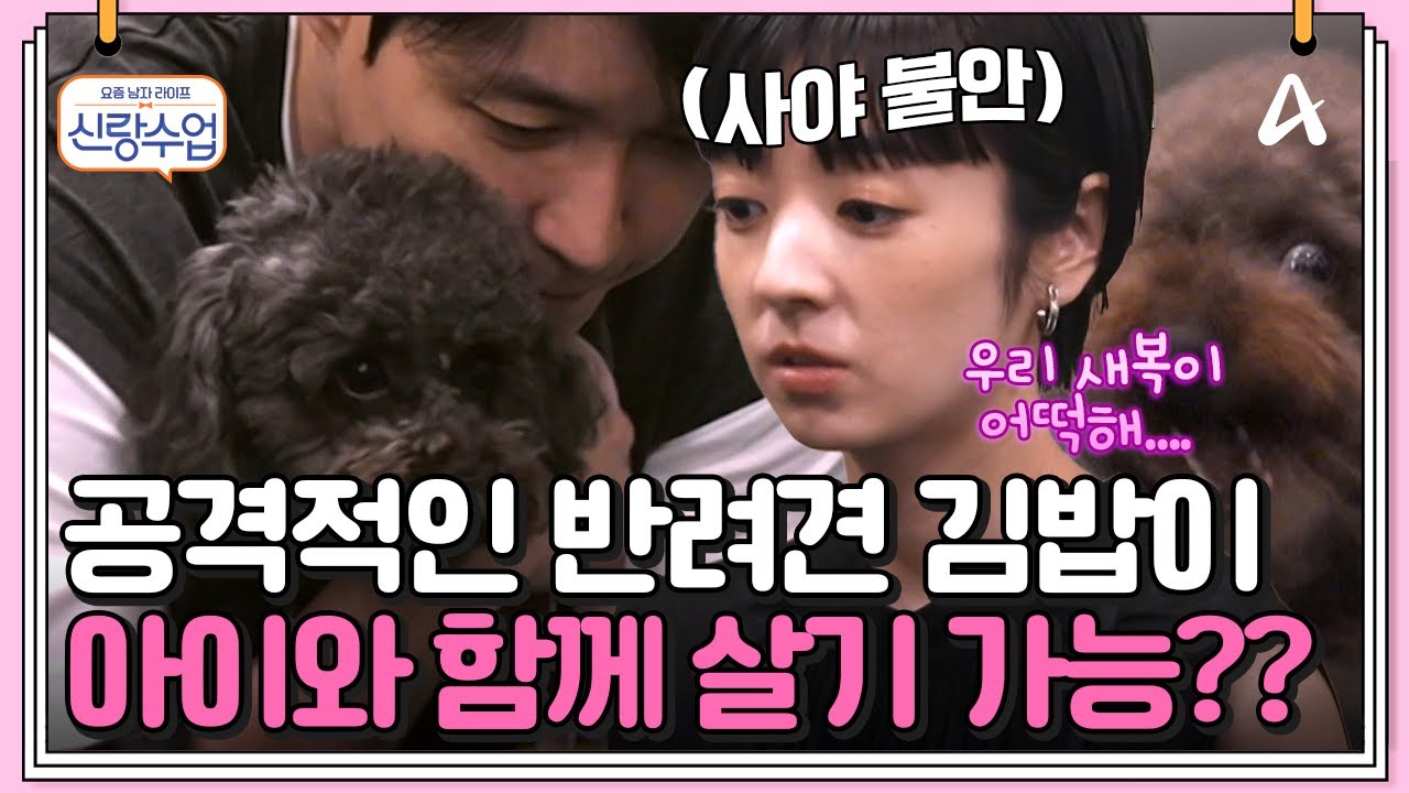 [#클립배송] 난폭한 반려견 김밥이?! 새복이와 함께 살기 위한 연습 #심형탁 #반려견 | 요즘남자라이프 신랑수업 133 회