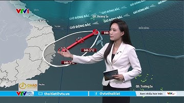 Dự báo thời tiết 6h15 - 01/12/2025 | Bão số 15 kết hợp gió đông bắc gây mưa | VTVWDB