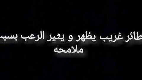 طائر غريب يظهر و يثير الرعب بسبب ملامحه