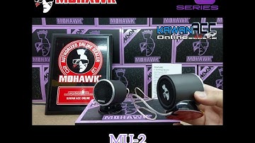Mohawk MU-2 2"inch Full Range Speaker With Bass (Sound Test)
