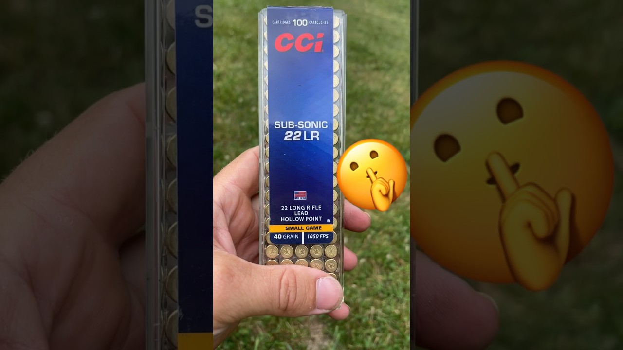 Pest Control With Subsonic 22 Ammo🤫🐿️ 