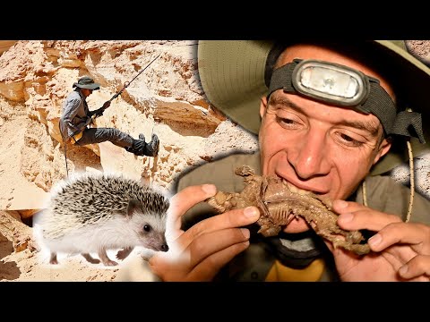 مهارات البقاء في جبال الحجر الجيري