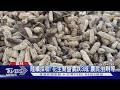 關稅效應? 花生價「跌3成」 農業部:不實訊息｜TVBS新聞 @TVBSNEWS01