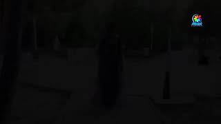 Bukjadan In Gyzykly Pursatlar...