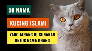 50 Nama Kucing Islami Terbaik yang tidak umum di gunakan sebagai nama orang