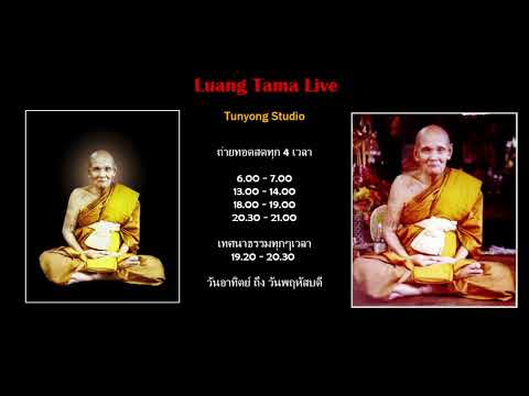 หลวงตาม้าถ่ายทอดสด วัดถ้ําเมืองนะ เชียงใหม่ Live Stream