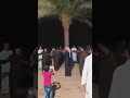 ماصول خضر الخفاجي في الشاميه ماصول خضر الخفاجي في الشاميه