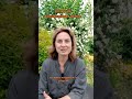 Аллергия. Бронхиальная астма.