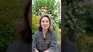 Аллергия. Бронхиальная астма.