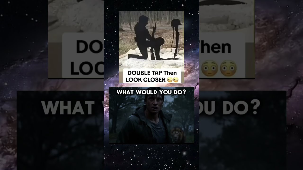 Meme Of The Day Memes Funny Shorts