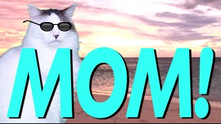 HAPPY BIRTHDAY MOM! - EPIC CAT Happy Birthday Song