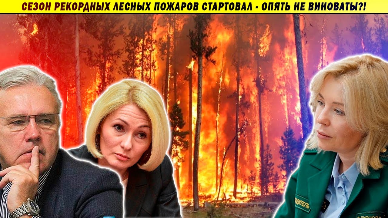 В лесных пожарах сг0рели дети! Кто ответит?! Экология, Куштау, Чистый воздух
