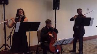 Stand By Me - Flute, Violin, Cello Trio - Trillogie Trio - Ben E. King