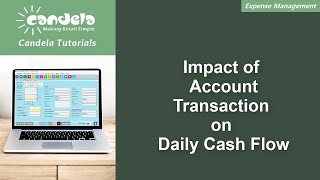 Retail Software: Impact of Account Transaction on Daily Cash Flow screenshot 4