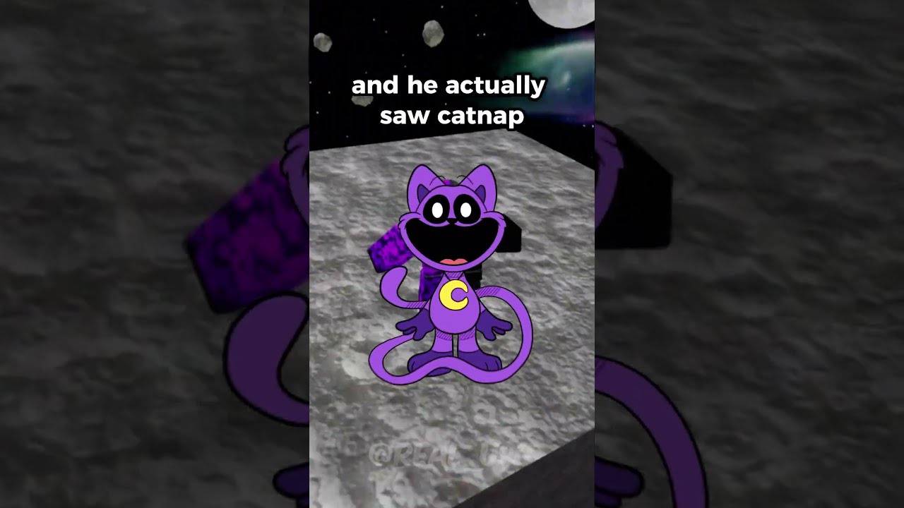 Never Talk To CatNap 