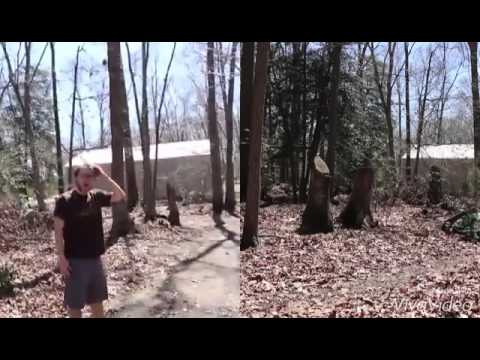 Psycho Dad Flattens Gaming Lair Both Angles