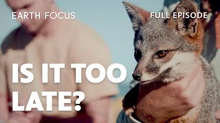 This Partnership Could Preserve San Clemente Island’s Ecosystem | Season 6, Episode 3 | Earth Focus