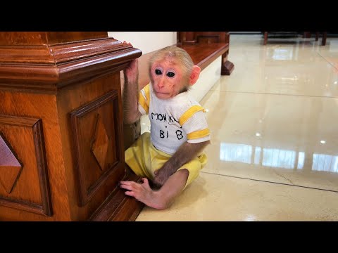 Bibi misses dad,