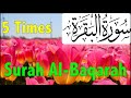 Surah Al Baqarah Full (5 Times) with beautiful Tulips | سورة البقرة | Beautiful Recitation of Quran