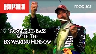 Rapala® BX™ Waking Minnow